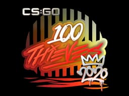 100 Thieves | 2020 RMR